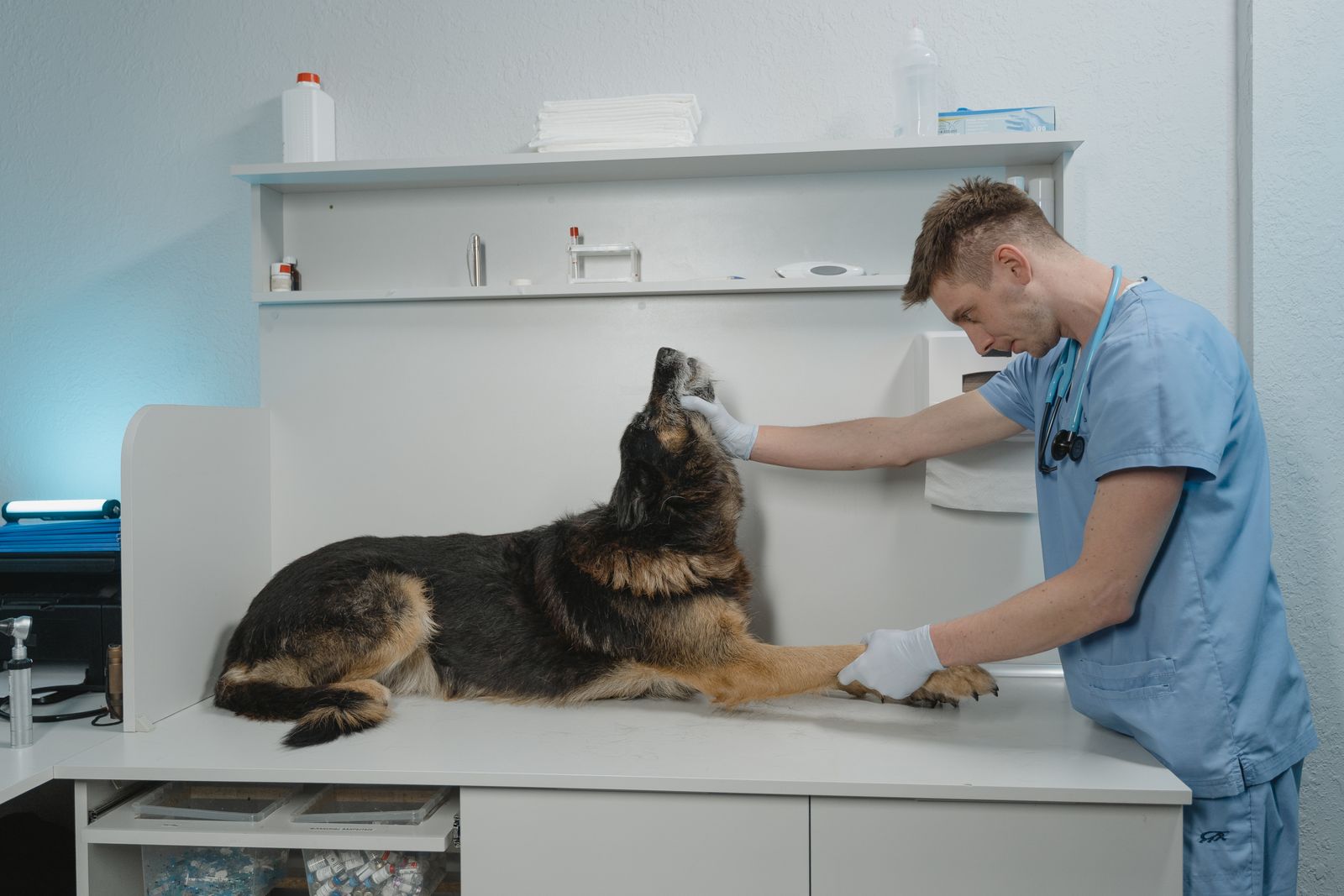 Patikent Yesil klinik iç mekan